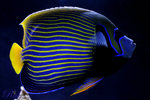 S_DSC4019
