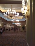 IMG_0093