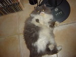 DSC03728