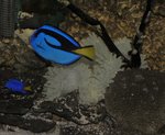 ���I��
DSC_2193