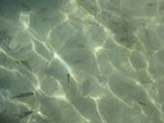 IMG_1032