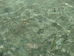 IMG_1064
