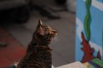 DSC_2041