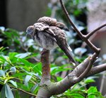 DSC_1906s