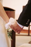 wedcover