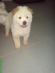 DSC02771
