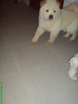 DSC02783