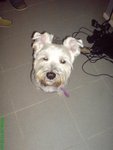 DSC02529