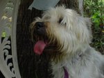 Bailey