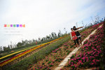 NEL_0435