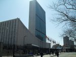 United Nation.  March 8th
