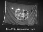 United Nation.  March 8th