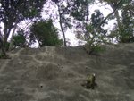 CIMG3633