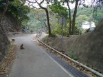 CIMG3635