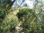 CIMG7440