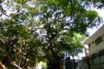 DSCF1518