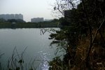 DSCF1536