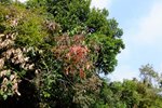 DSCF1546