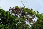DSCF1547