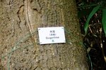 DSCF1552