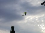 CIMG6740