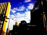 090219_1559230