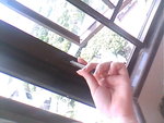IMG110-1
