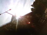 IMG061