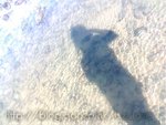 IMG025