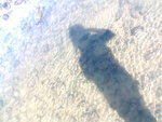 IMG025