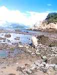 IMG038