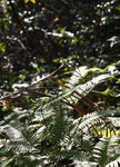 IMG_6211