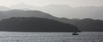 IMG_6582