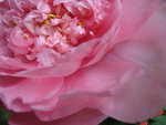 IMG_1268