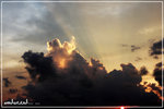 IMG_1767