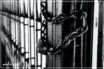 02 (1 of 24)