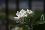 20080615-03