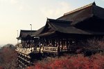 osaka_cover