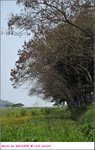 DSC_3236