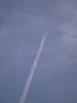 Q8315024n