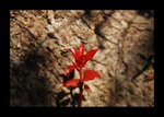 2008 03 02 08