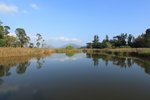 IMG_3750