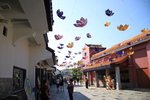 IMG_5007