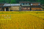 _MG_9875