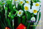 _SAM4737