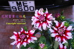 _SAM4766