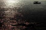 _MG_3444