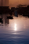_MG_3655