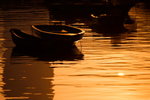 _MG_3659