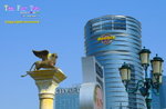 SAM_4242